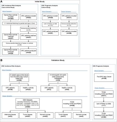 Insulin-like growth factor 2 hypermethylation in peripheral blood leukocytes and colorectal cancer risk and prognosis: a propensity score analysis
